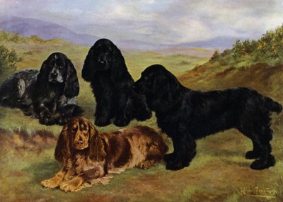 Cocker Spaniels von Lilian Cheviot